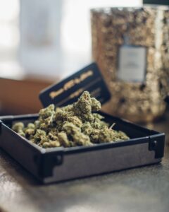 292154495_715826006315636_4379132842243304534_n-240x300 CBD Saujon