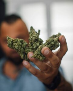 294218947_141156235211500_6374887427033727578_n-820x1024-1-240x300 CBD Rochefort